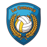 Escudo La Comarca